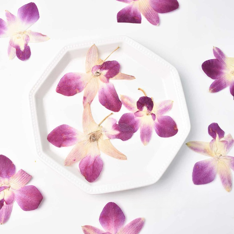 Resin Craft Ideas - 4pcs,Real Pressed Butterfly Orchid Flowers DIY