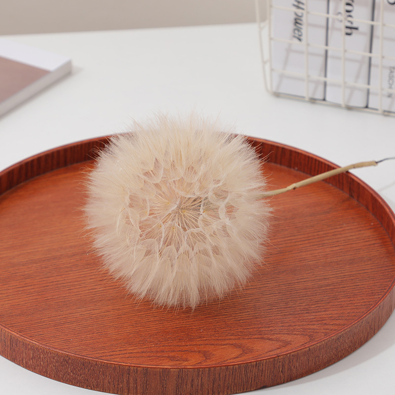 Resin Crafts Diy - Preserved Dandelion DIY Epoxy Resin Craft