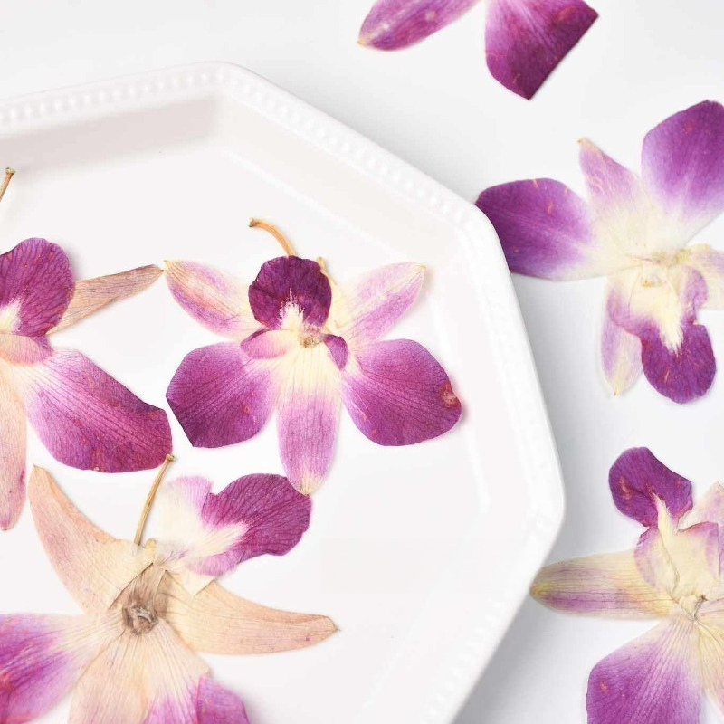 4pcs,Real Pressed Butterfly Or - đánh giá và giá Resin Craft Ideas
