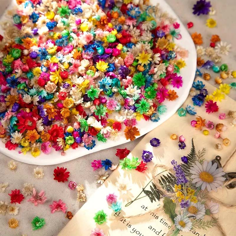 Mixed Colorful Flower for Wax  - đánh giá và giá Resin Craft Ideas