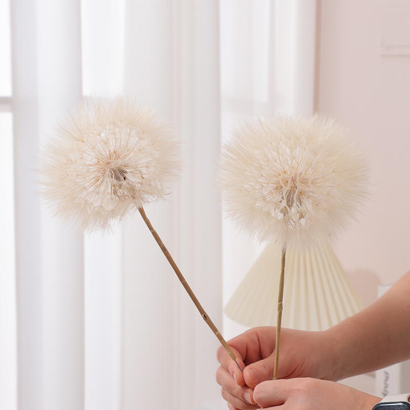 Preserved Dandelion DIY Epoxy  - đánh giá và giá Resin Crafts Diy