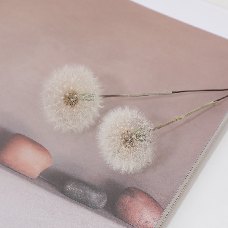 Preserved Dandelion DIY Epoxy  - đánh giá và giá Resin Crafts Diy